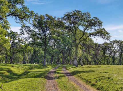 7680 Walsh Ln, Smartville, CA 95977 Photo