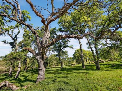 7680 Walsh Ln, Smartville, CA 95977 Photo