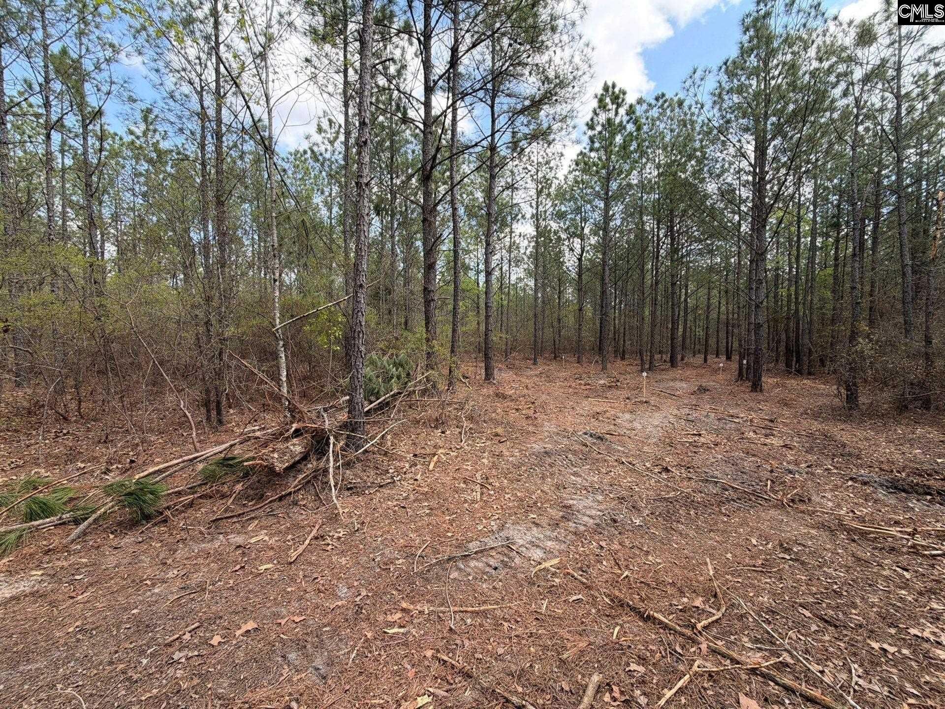 Cva 1 Mt. Calvary Road  Photo 10