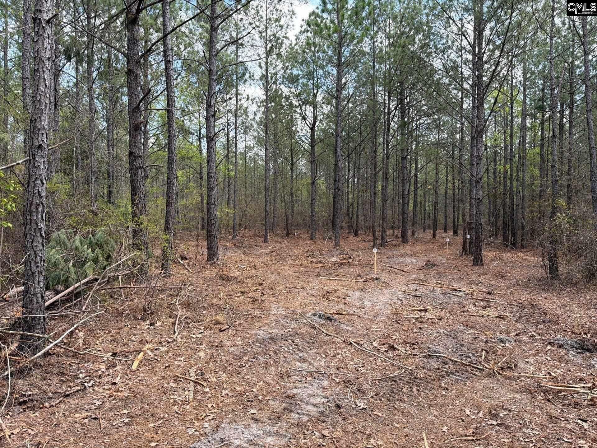 Cva 1 Mt. Calvary Road  Photo 11