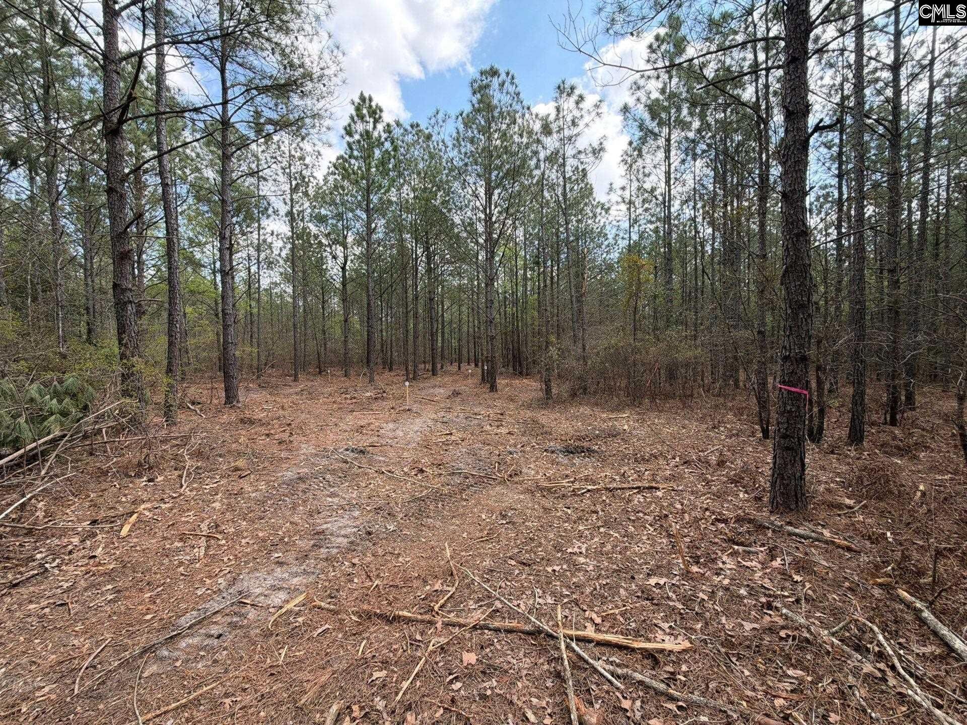 Cva 1 Mt. Calvary Road  Photo 12