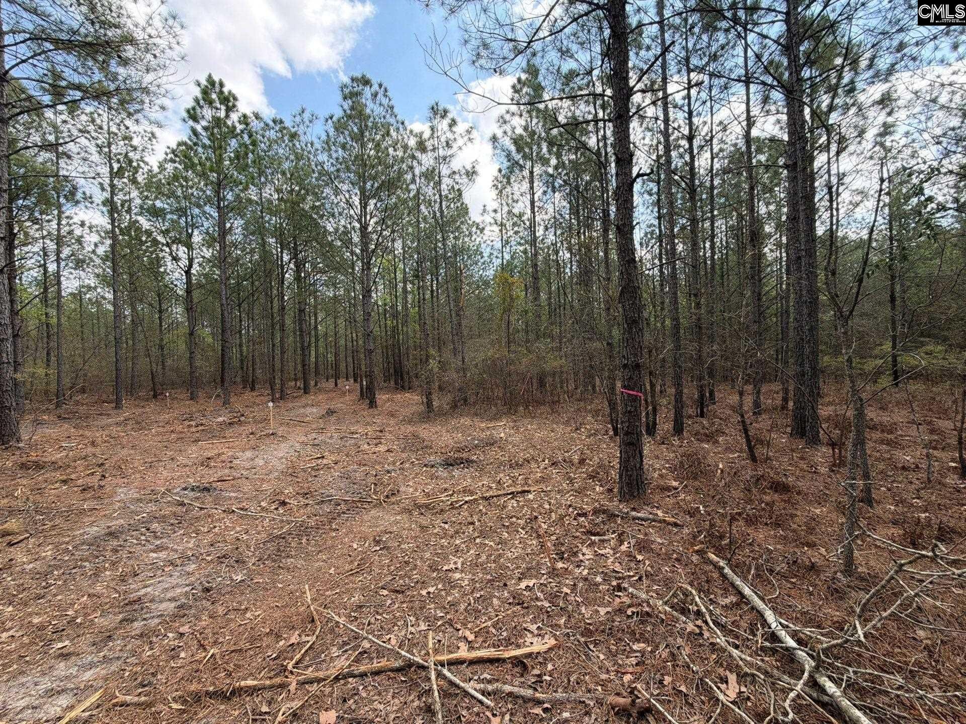 Cva 1 Mt. Calvary Road  Photo 13