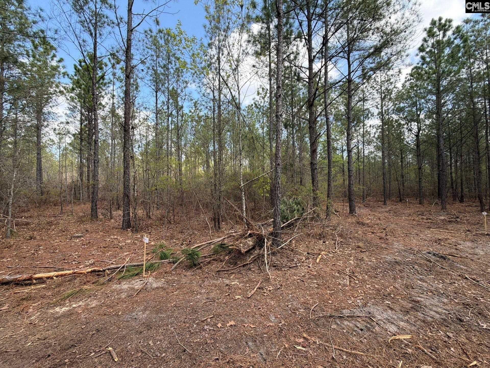 Cva 1 Mt. Calvary Road  Photo 14