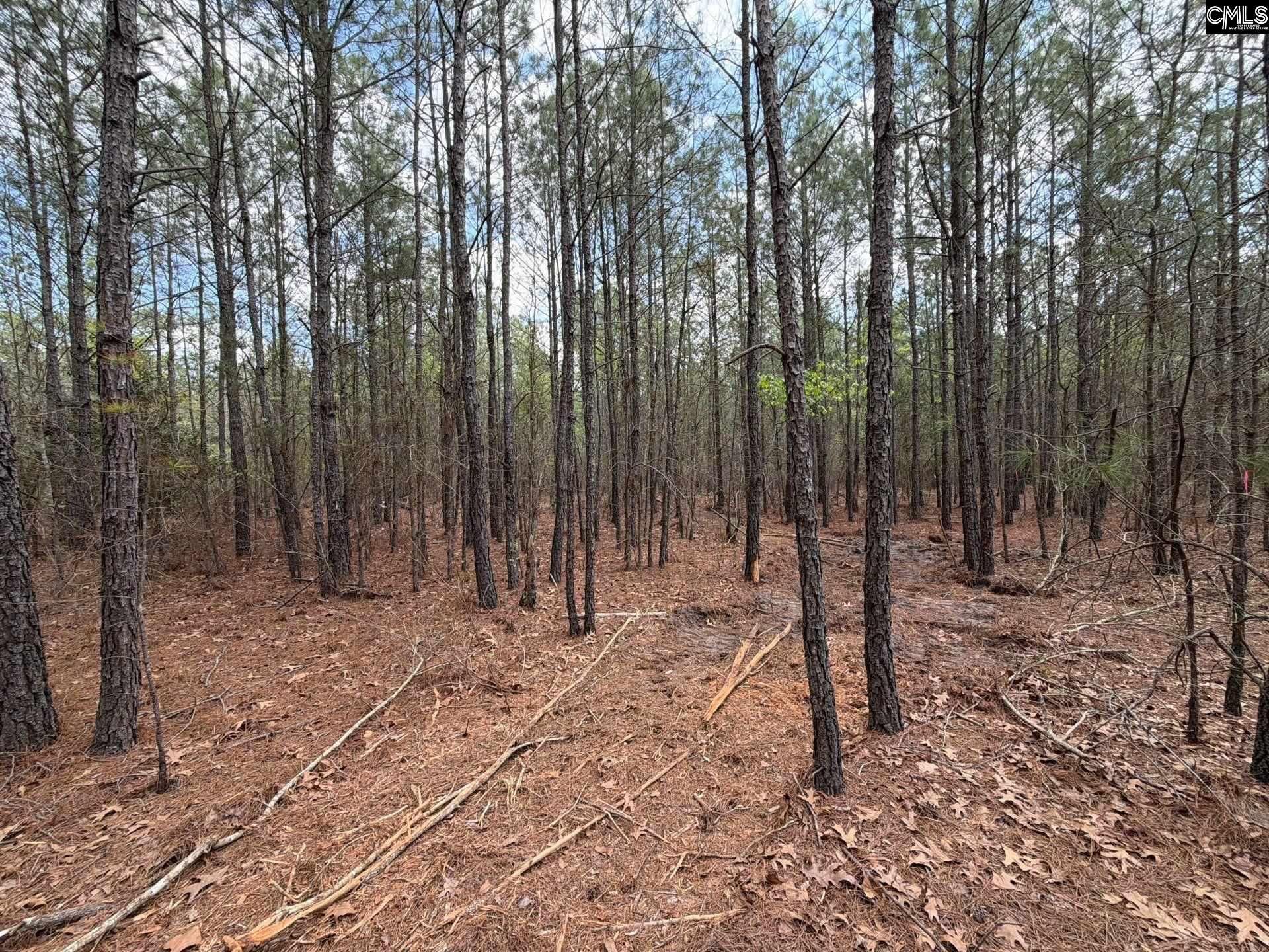 Cva 1 Mt. Calvary Road  Photo 15