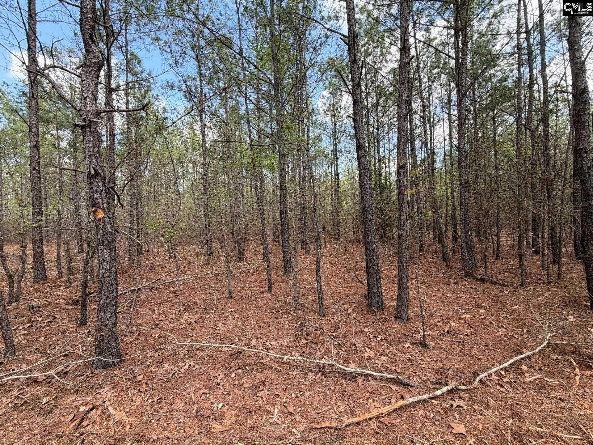 Cva 1 Mt. Calvary Road  Photo 16