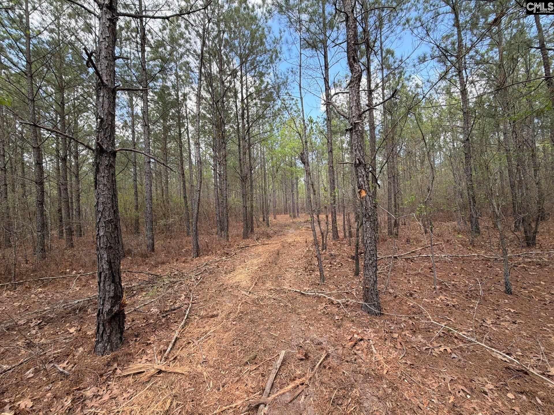 Cva 1 Mt. Calvary Road  Photo 17