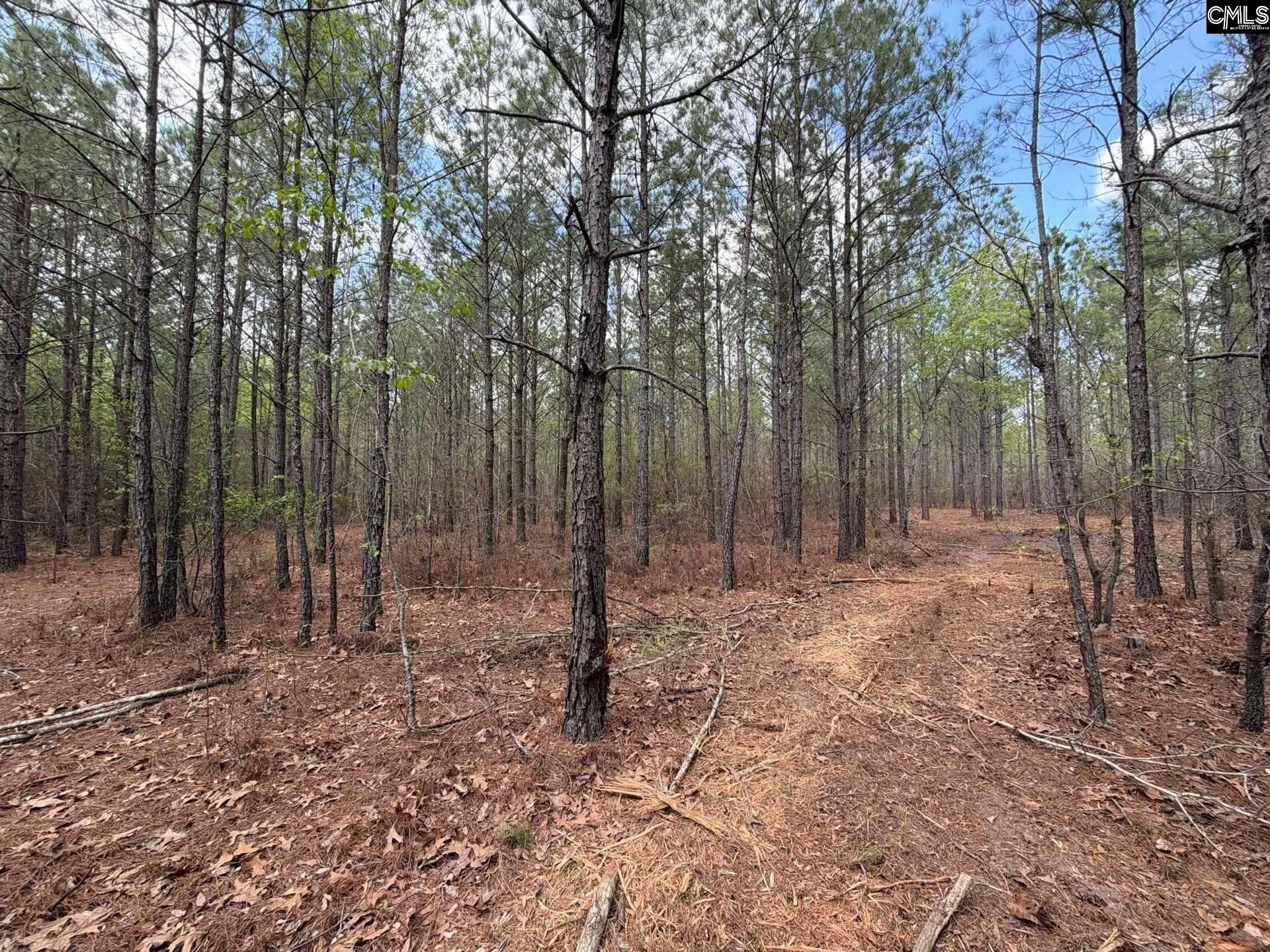 Cva 1 Mt. Calvary Road  Photo 18