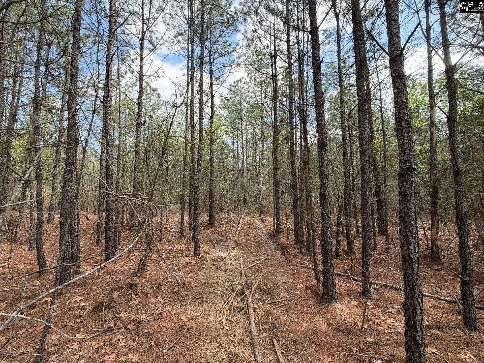 Cva 1 Mt. Calvary Road  Photo 19