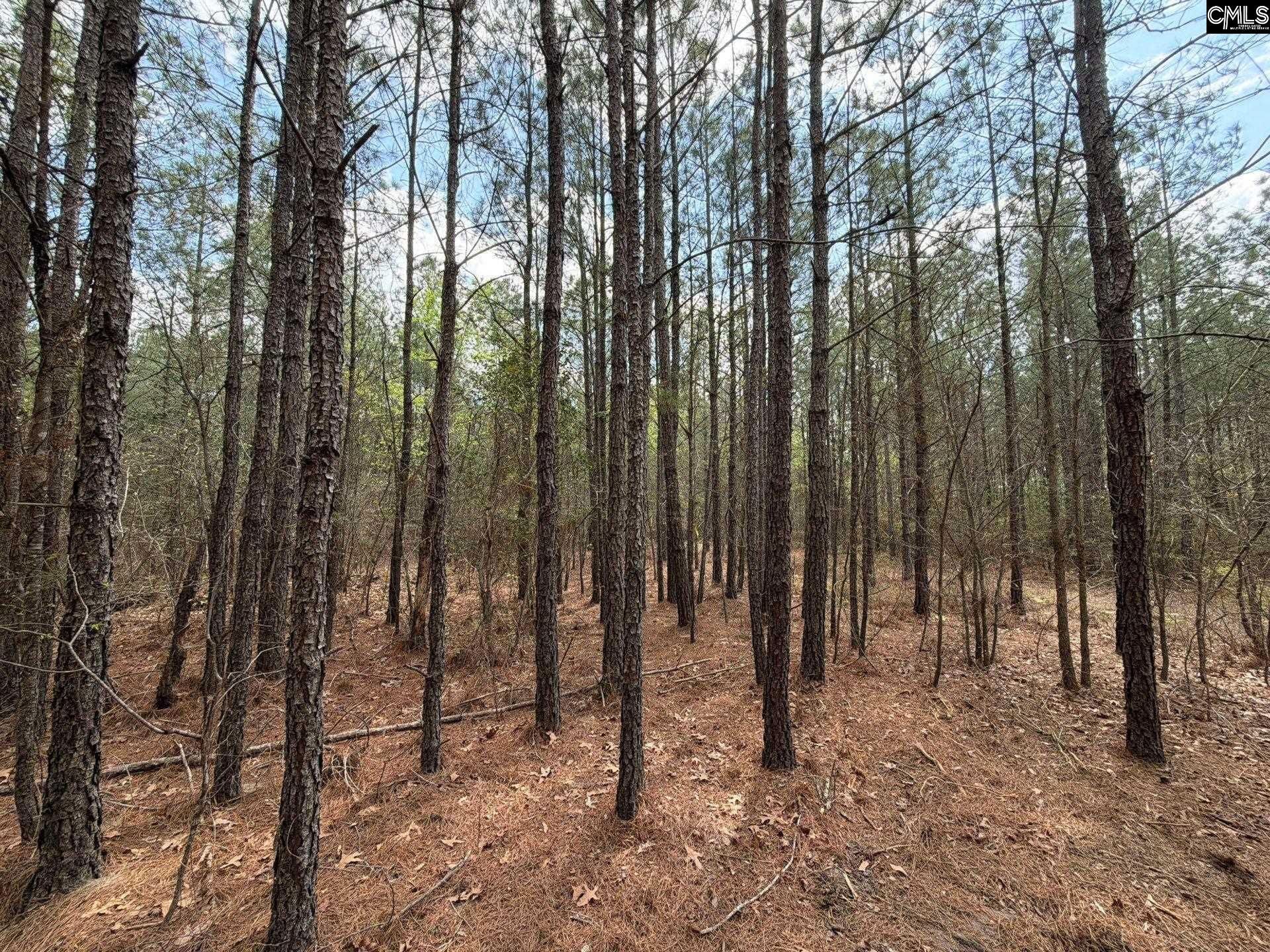 Cva 1 Mt. Calvary Road  Photo 20