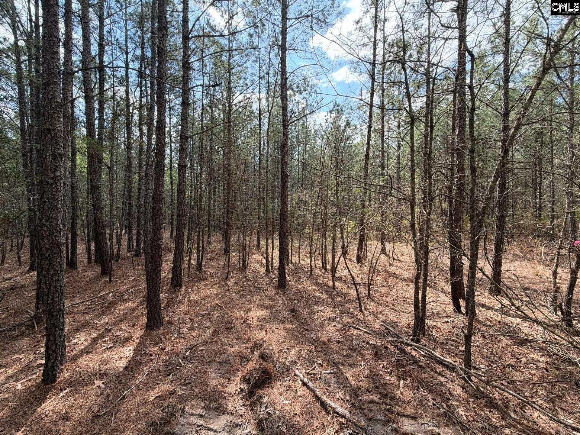 Cva 1 Mt. Calvary Road  Photo 21