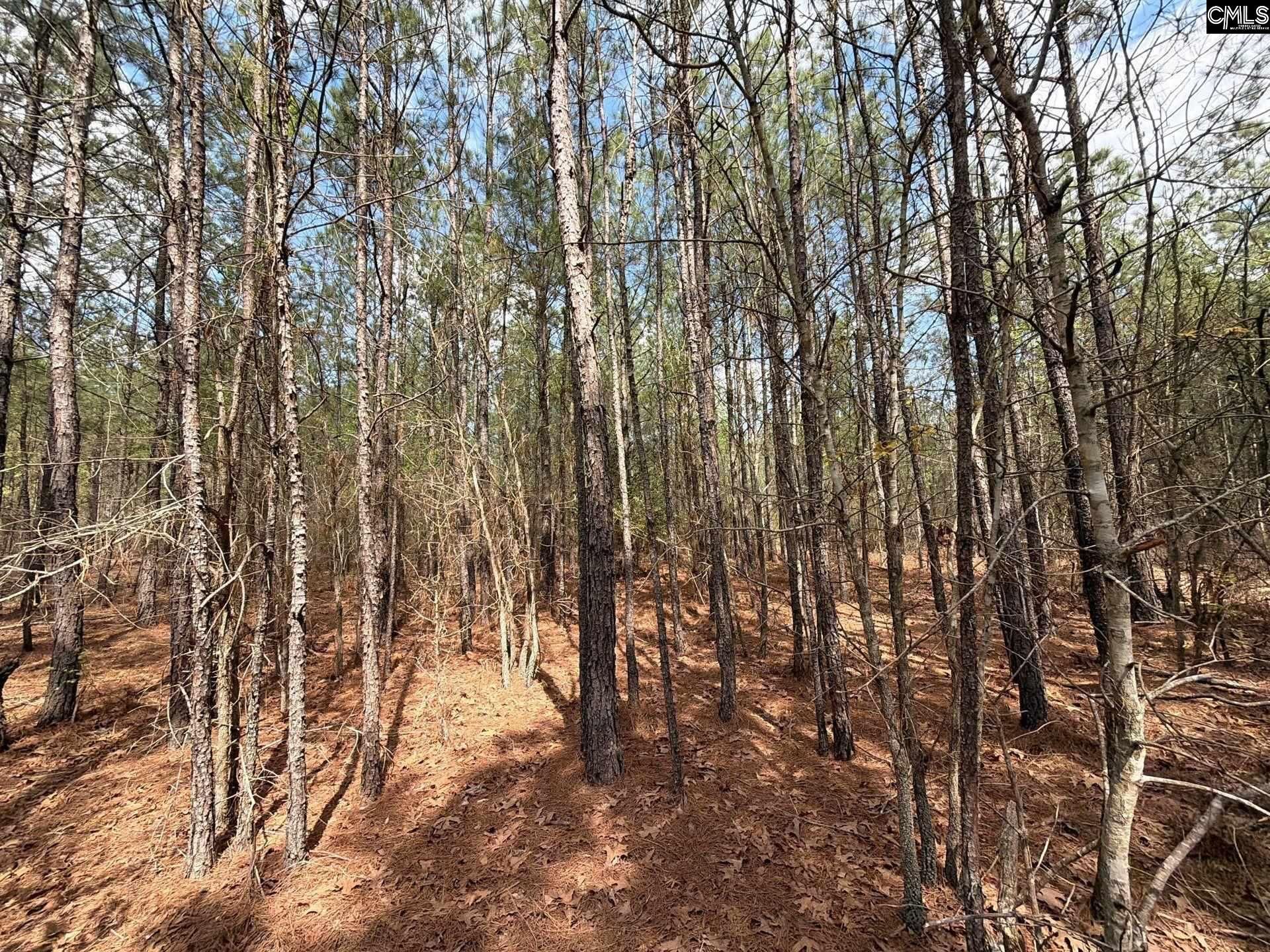 Cva 1 Mt. Calvary Road  Photo 22