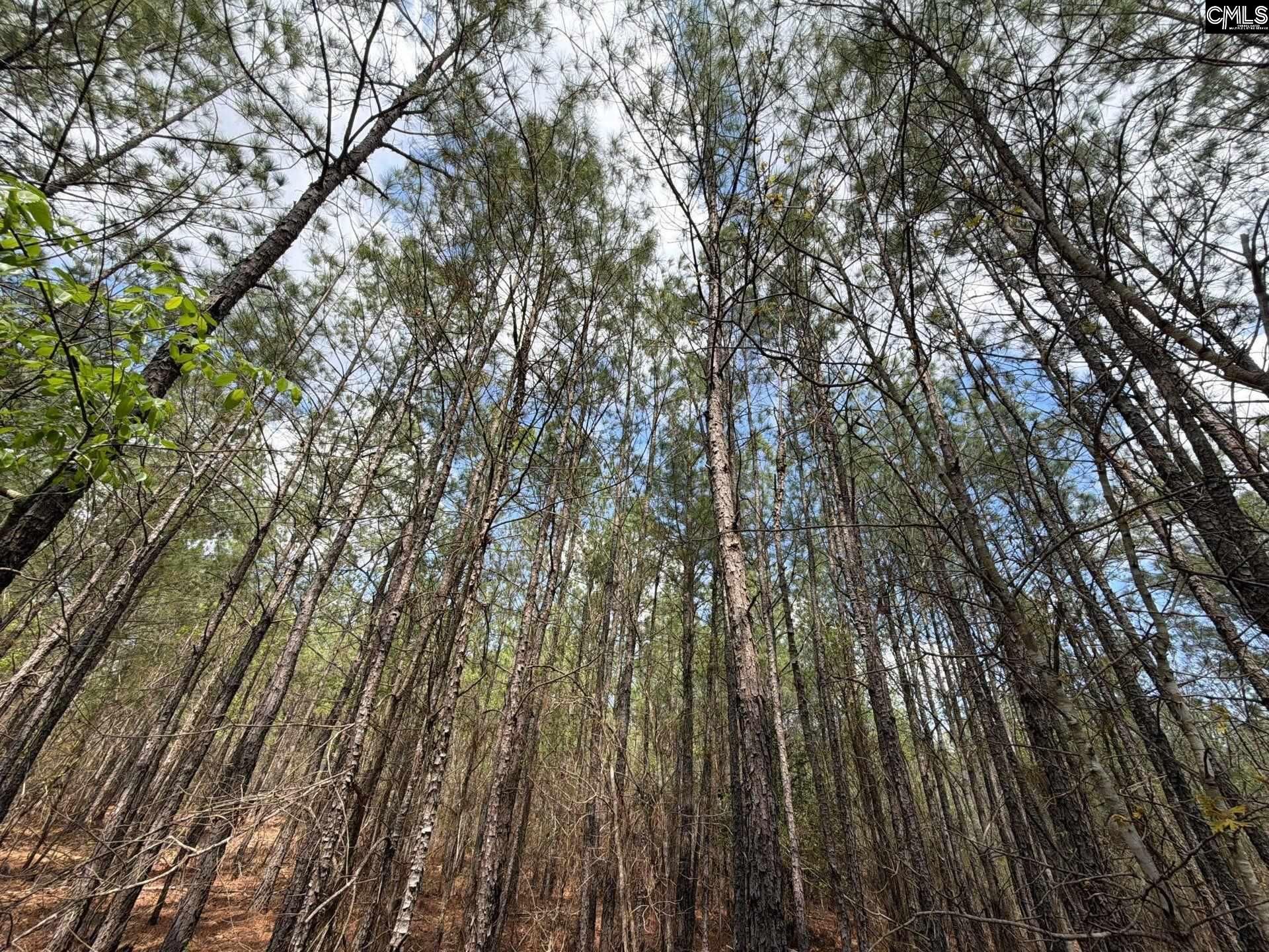 Cva 1 Mt. Calvary Road  Photo 24