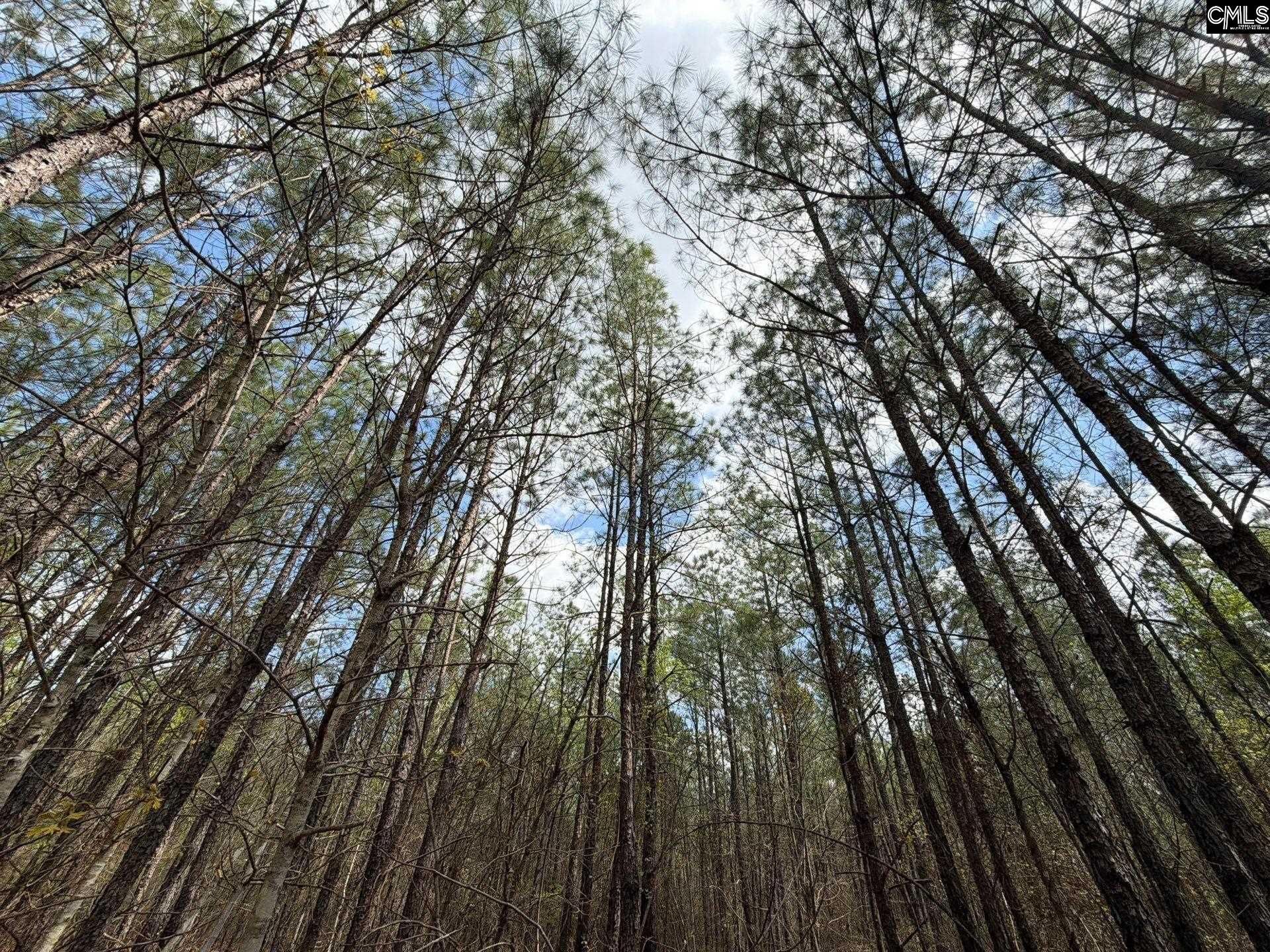 Cva 1 Mt. Calvary Road  Photo 25