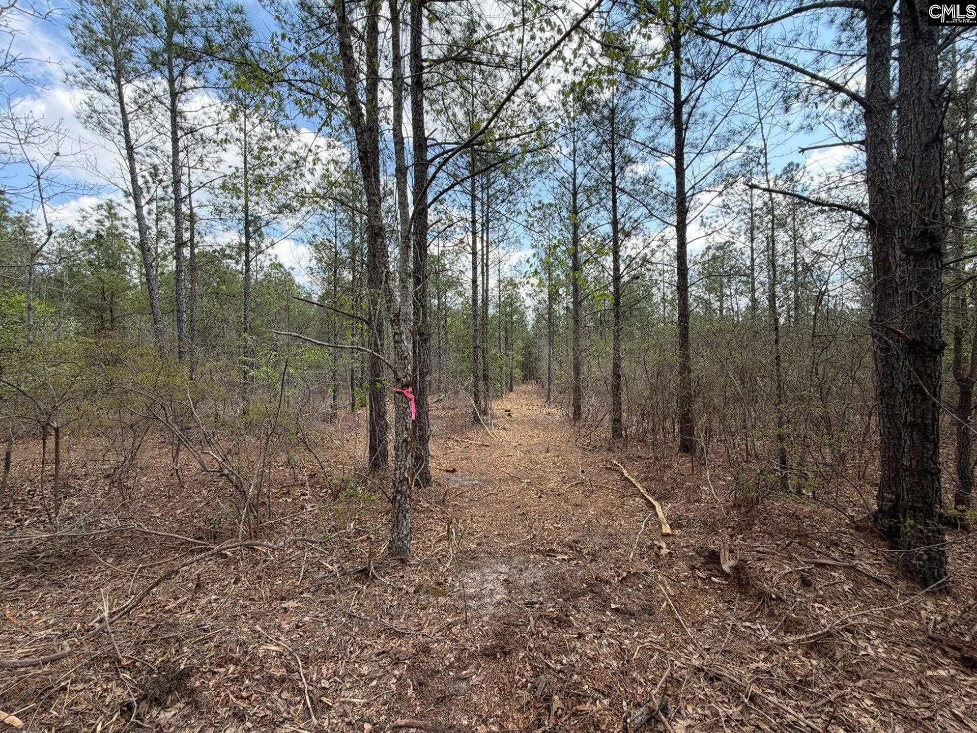 Cva 1 Mt. Calvary Road  Photo 26