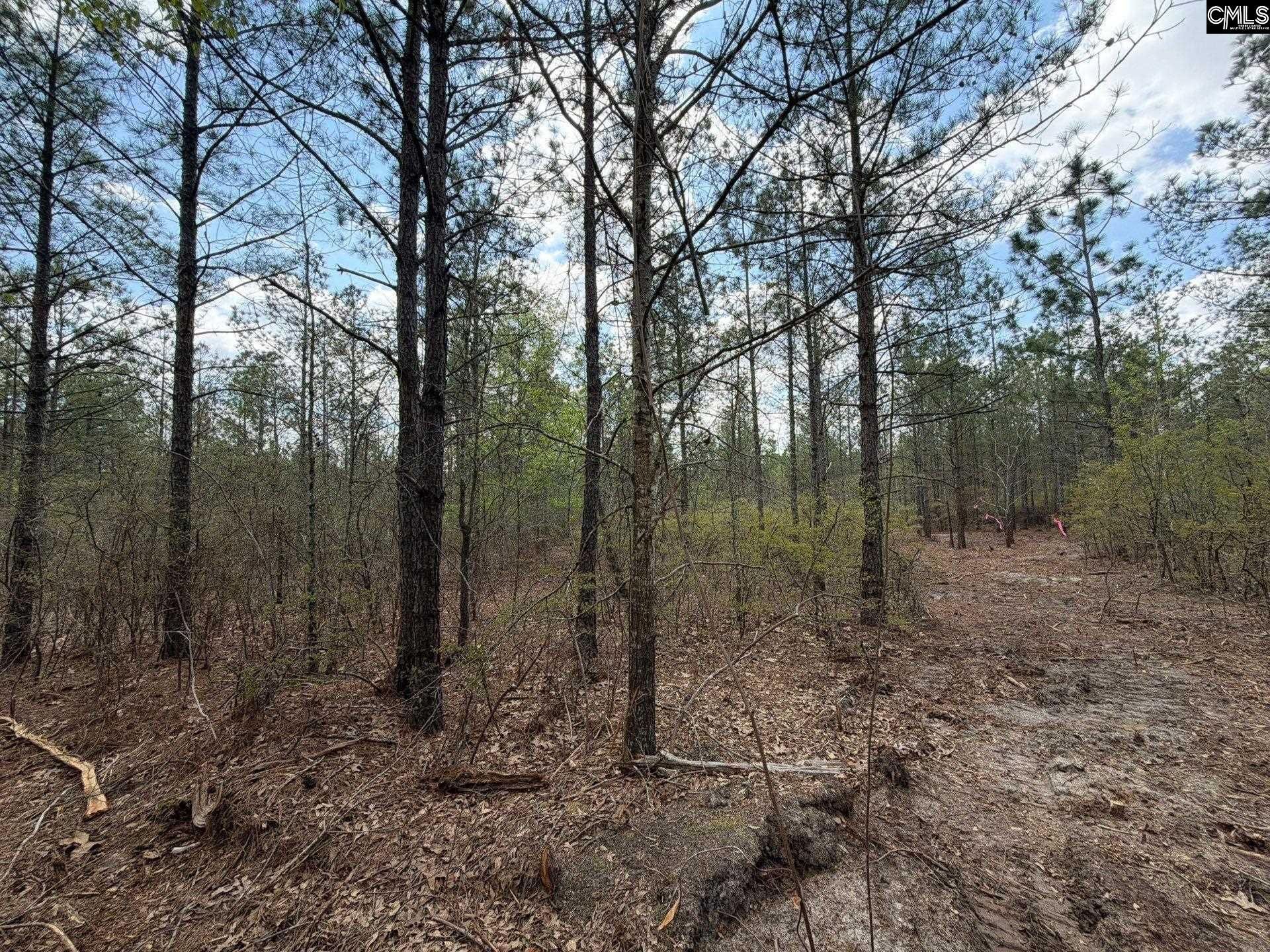 Cva 1 Mt. Calvary Road  Photo 27