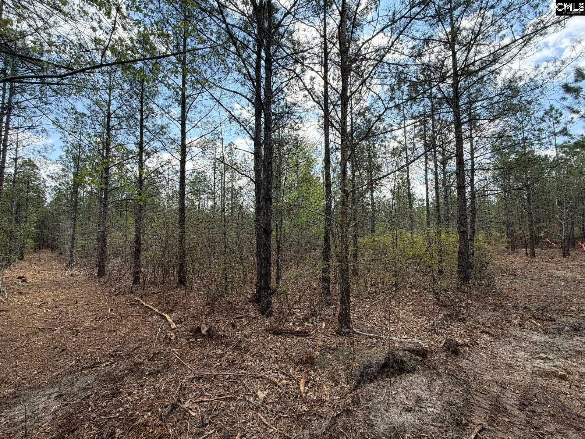 Cva 1 Mt. Calvary Road  Photo 28