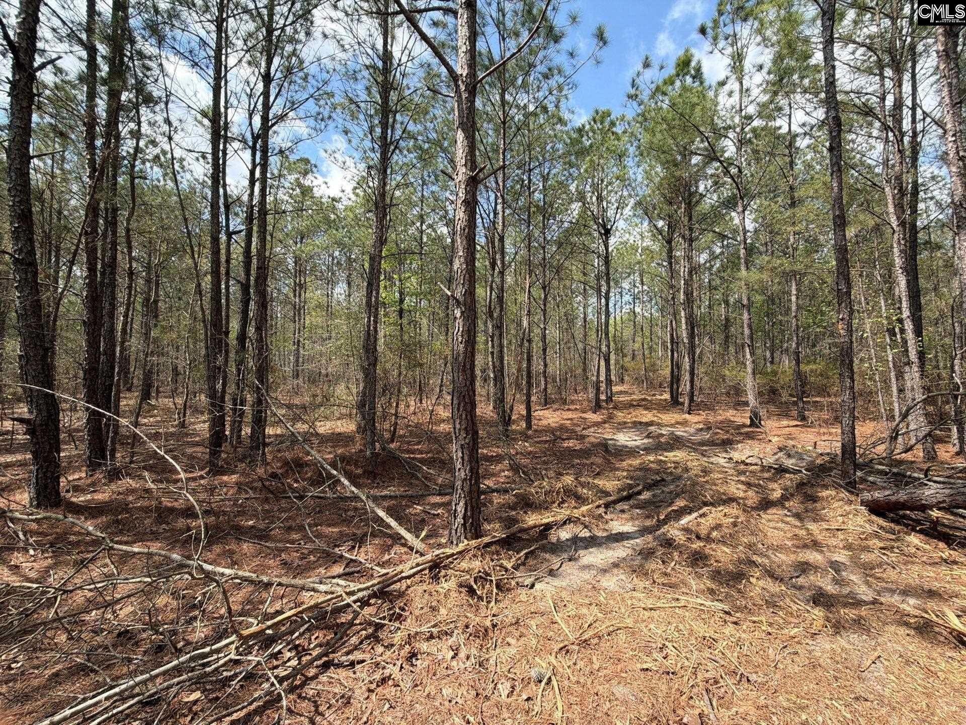 Cva 1 Mt. Calvary Road  Photo 29