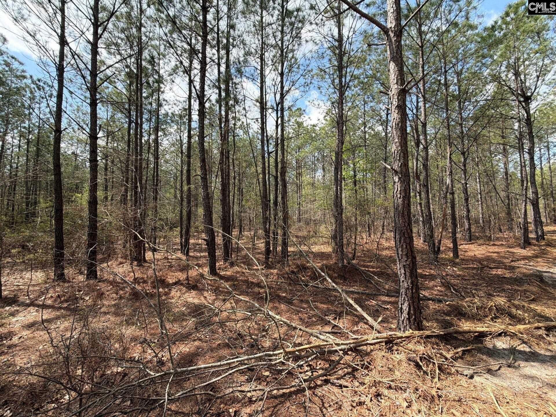 Cva 1 Mt. Calvary Road  Photo 30