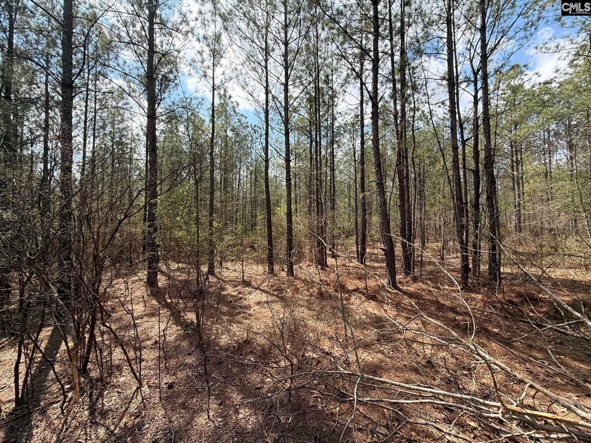 Cva 1 Mt. Calvary Road  Photo 31