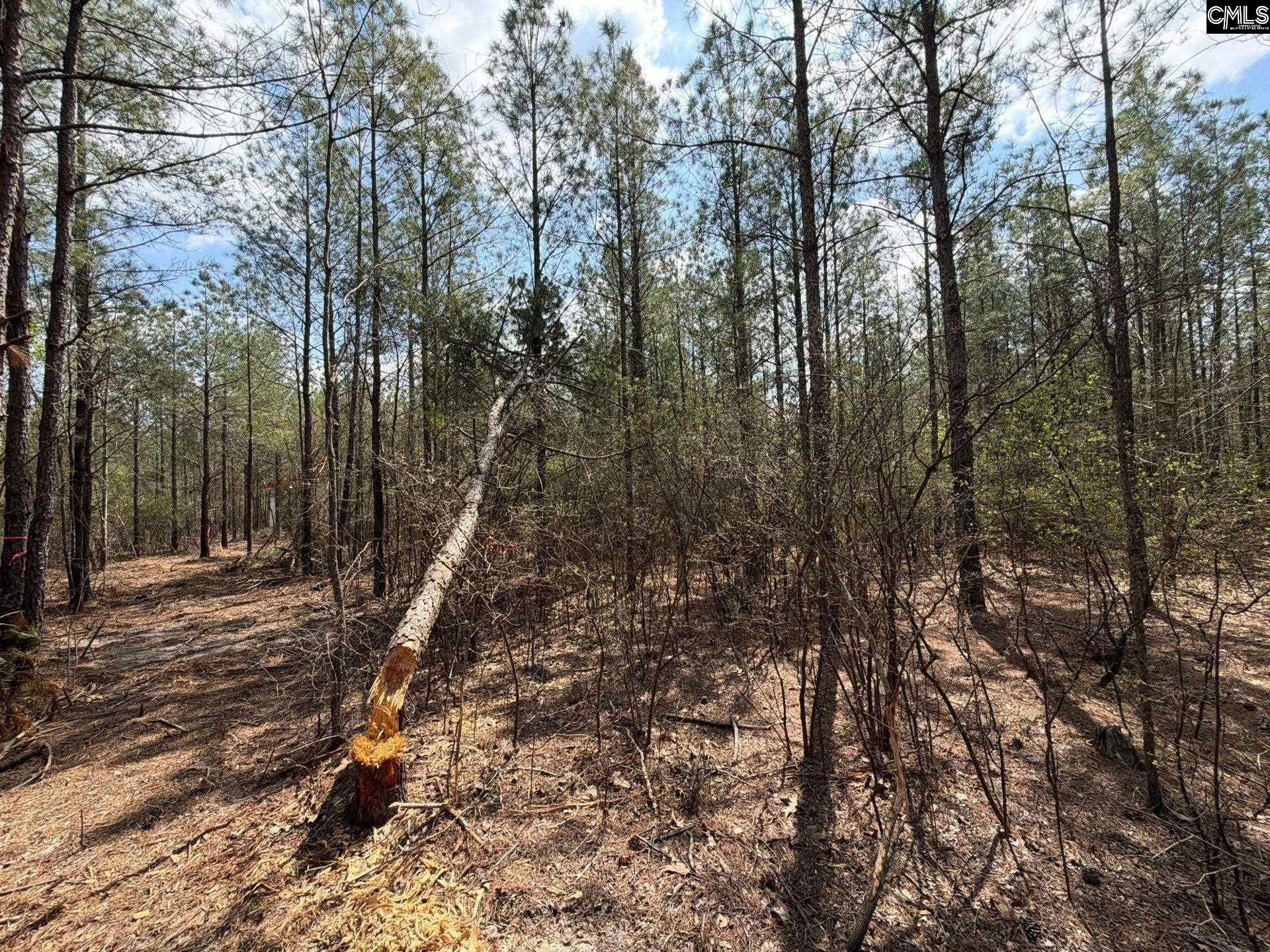 Cva 1 Mt. Calvary Road  Photo 34