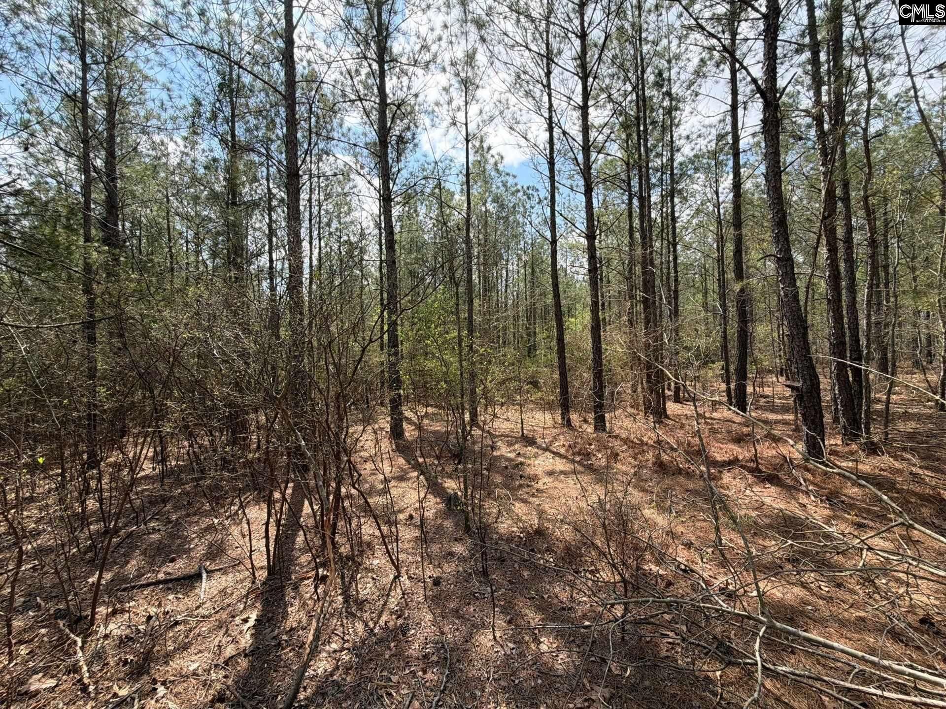 Cva 1 Mt. Calvary Road  Photo 35