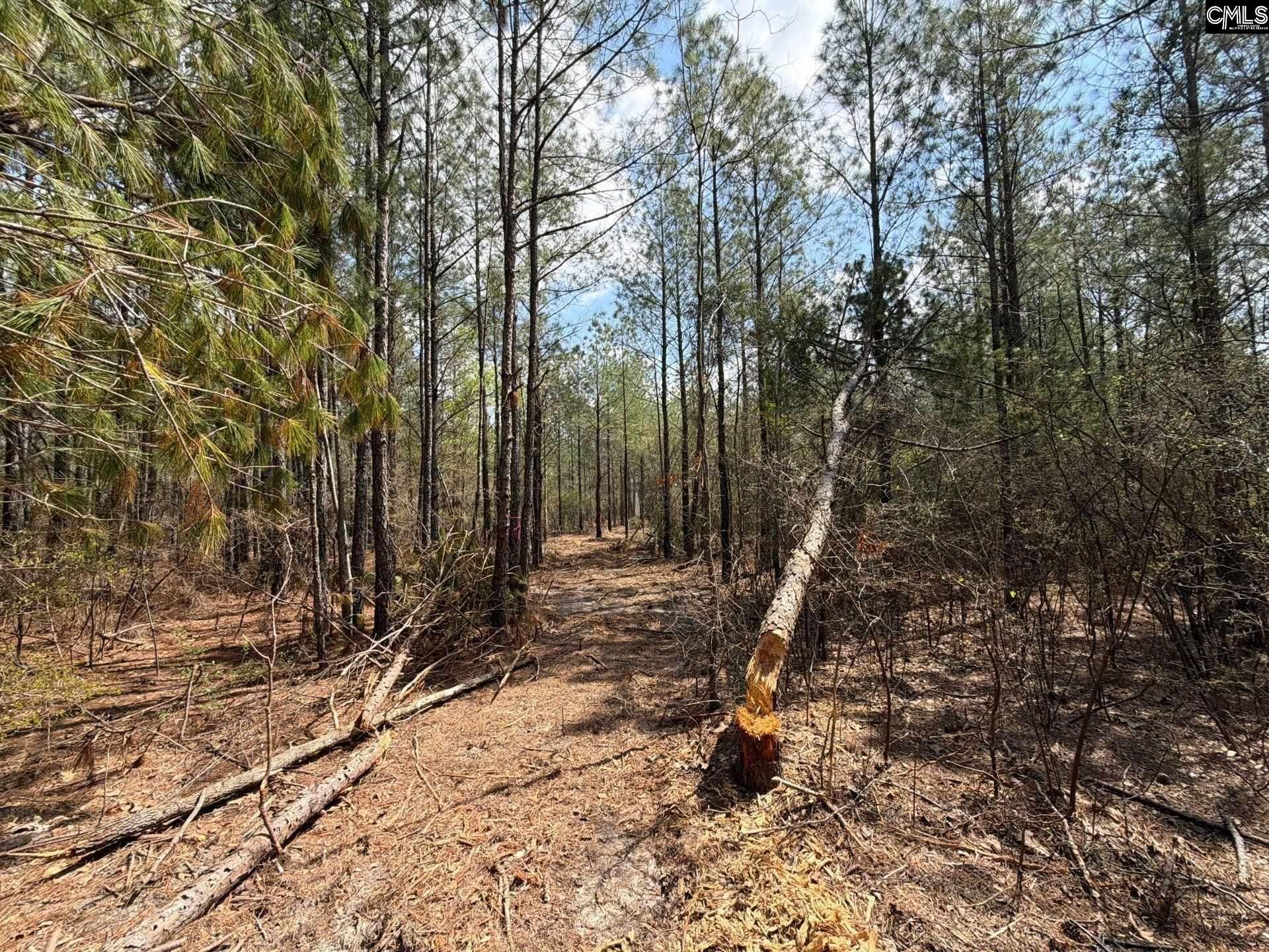 Cva 1 Mt. Calvary Road  Photo 36