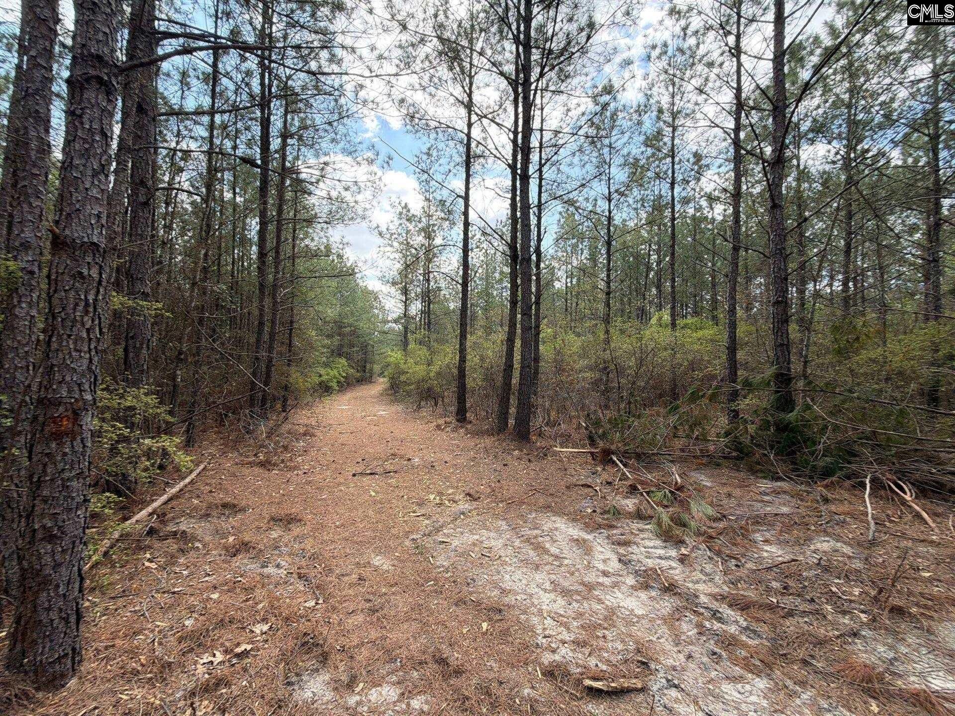 Cva 1 Mt. Calvary Road  Photo 38