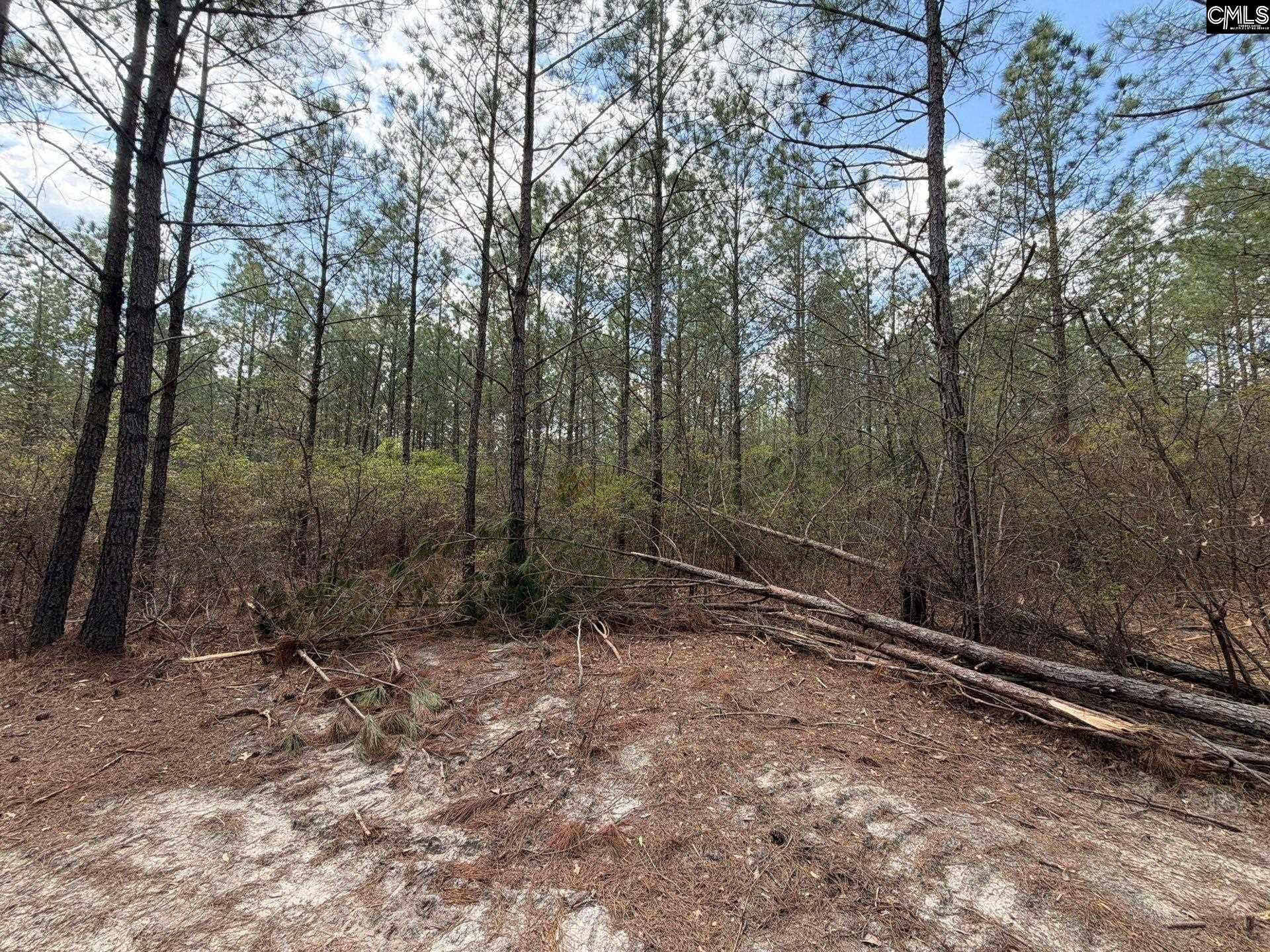 Cva 1 Mt. Calvary Road  Photo 39