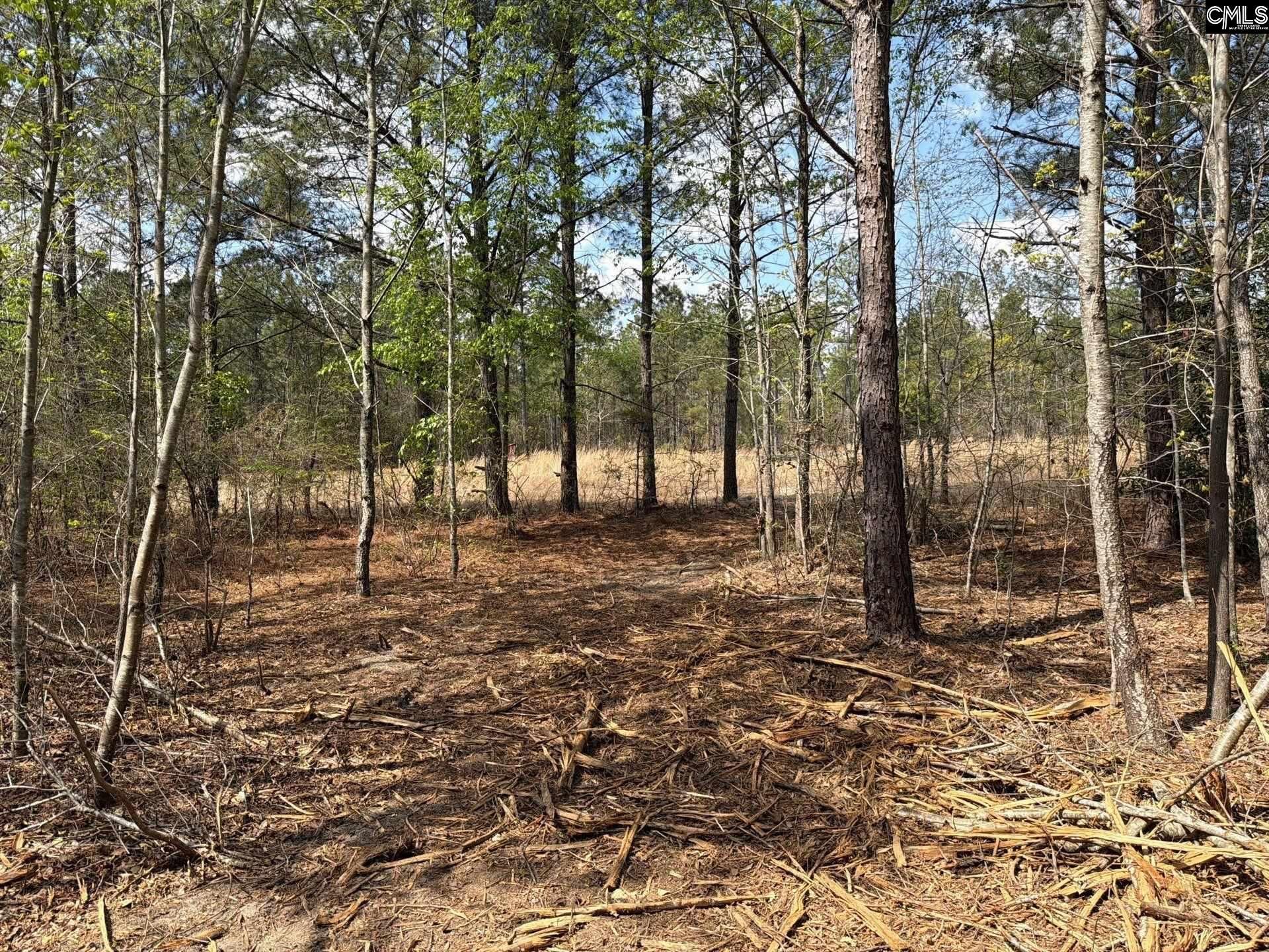 Cva 1 Mt. Calvary Road  Photo 4