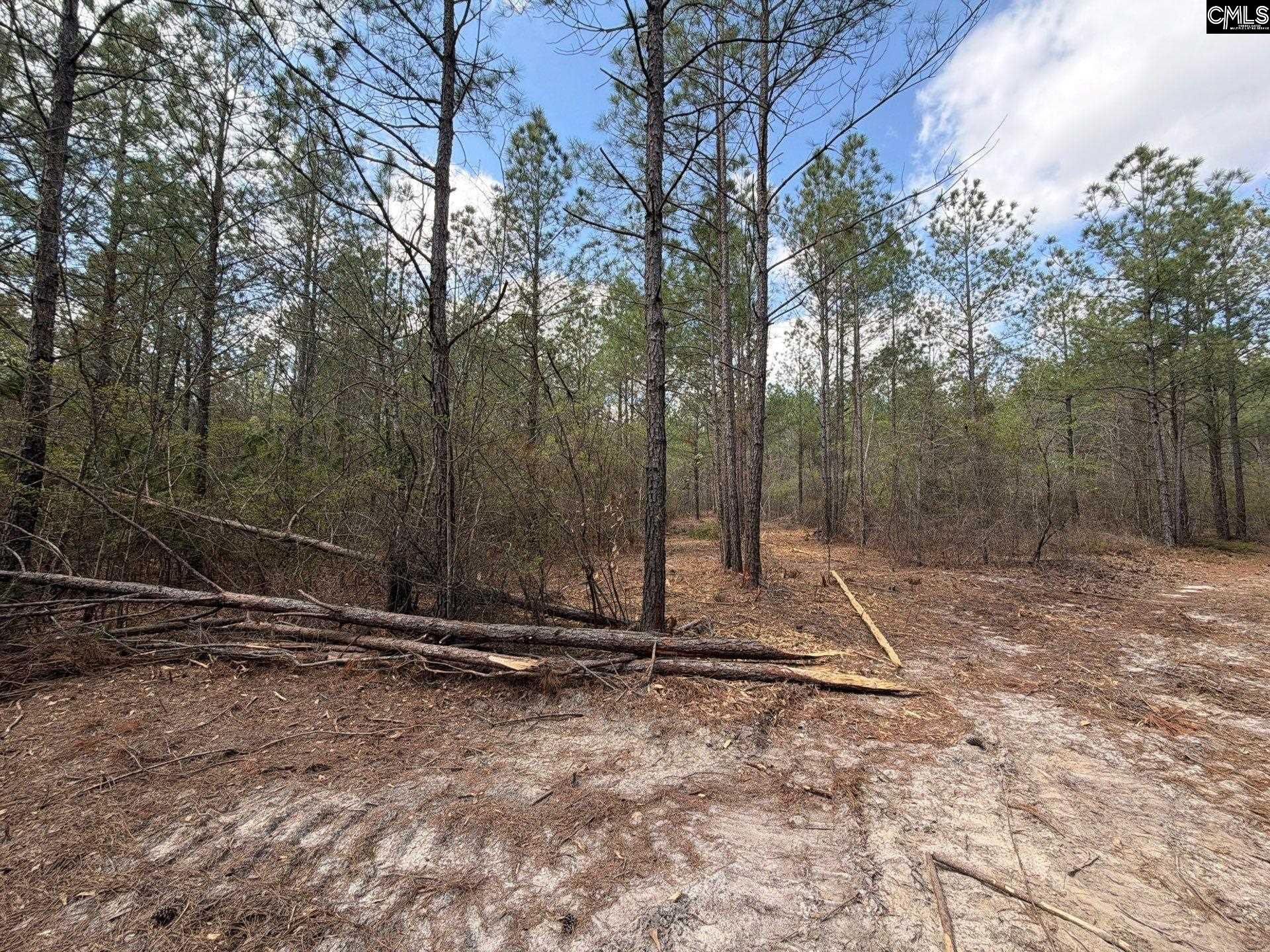 Cva 1 Mt. Calvary Road  Photo 40