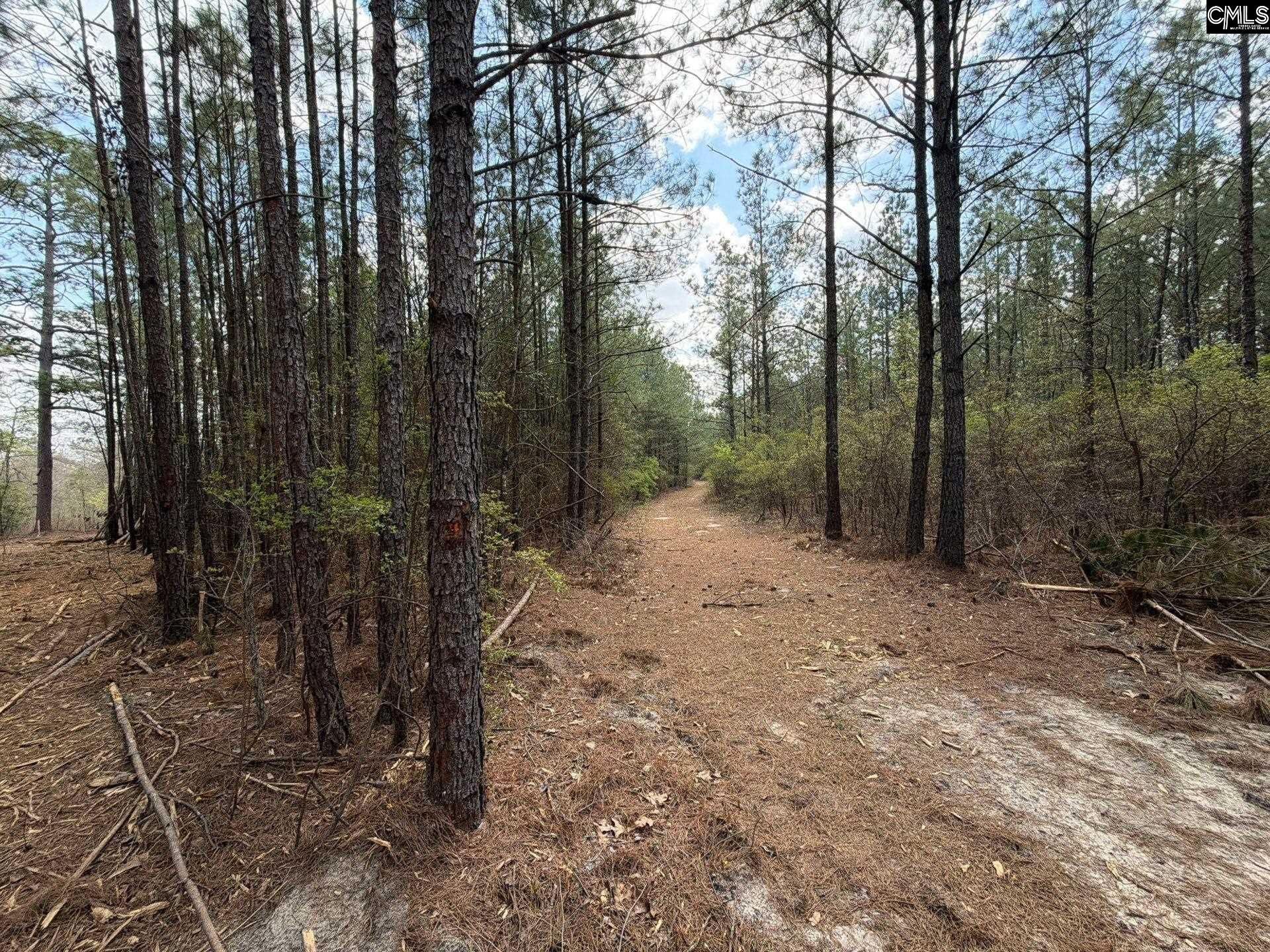 Cva 1 Mt. Calvary Road  Photo 41