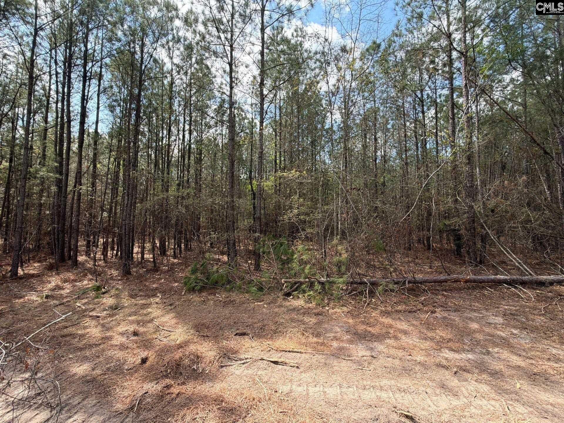 Cva 1 Mt. Calvary Road  Photo 43