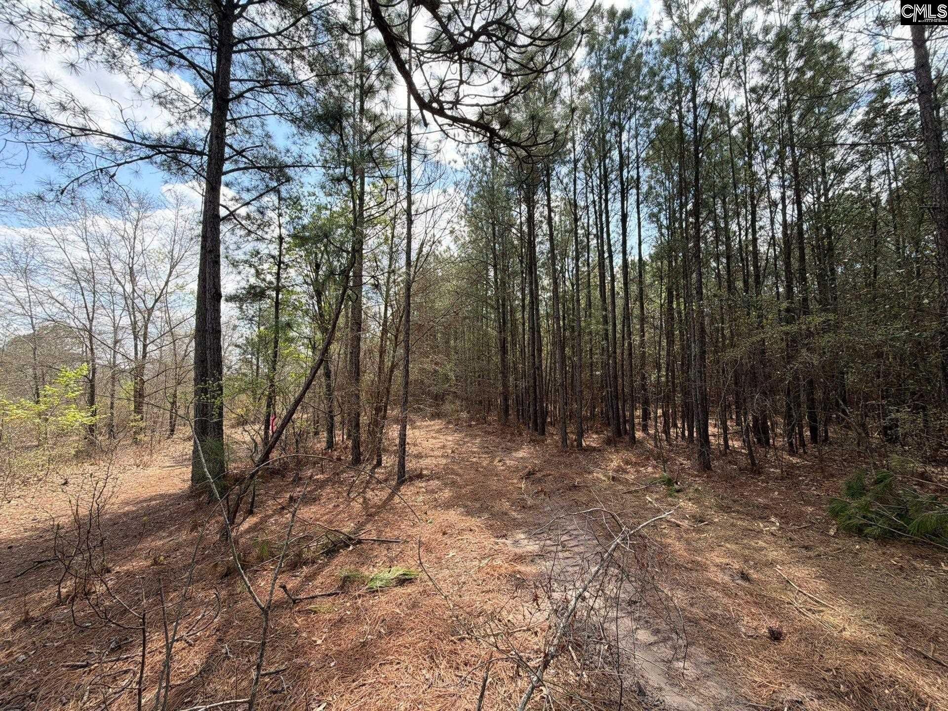 Cva 1 Mt. Calvary Road  Photo 44