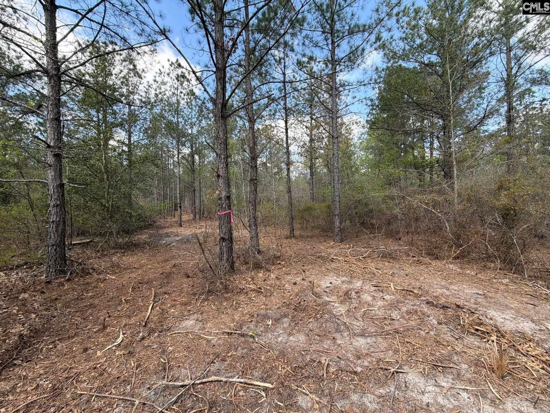 Cva 1 Mt. Calvary Road  Photo 46