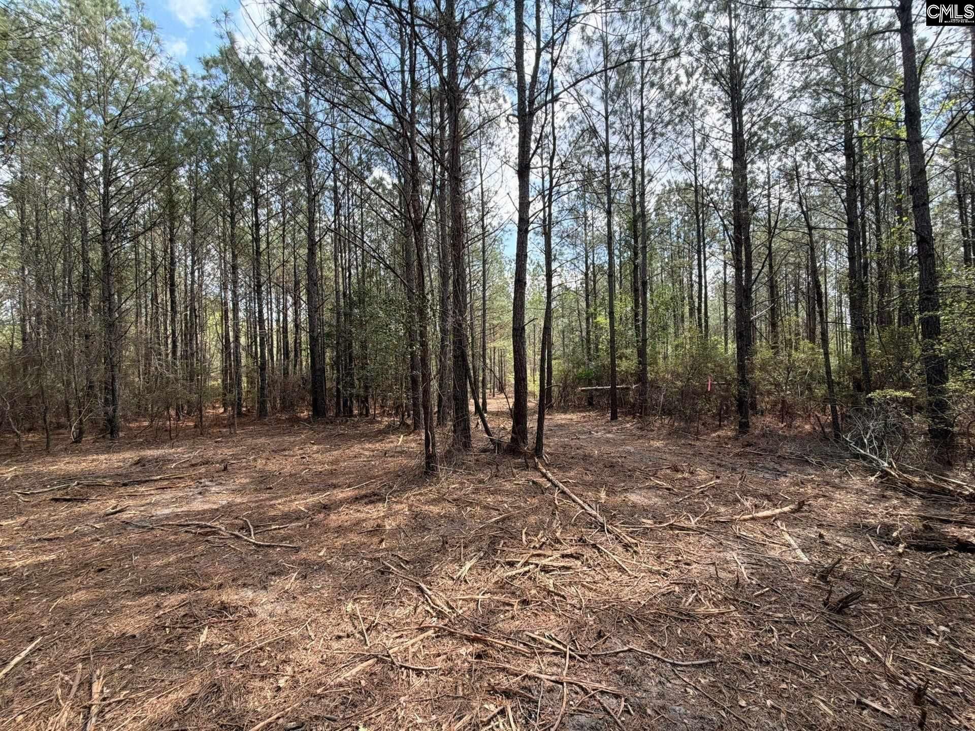 Cva 1 Mt. Calvary Road  Photo 5