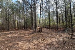 Cva 1 Mt. Calvary Road  photo 4