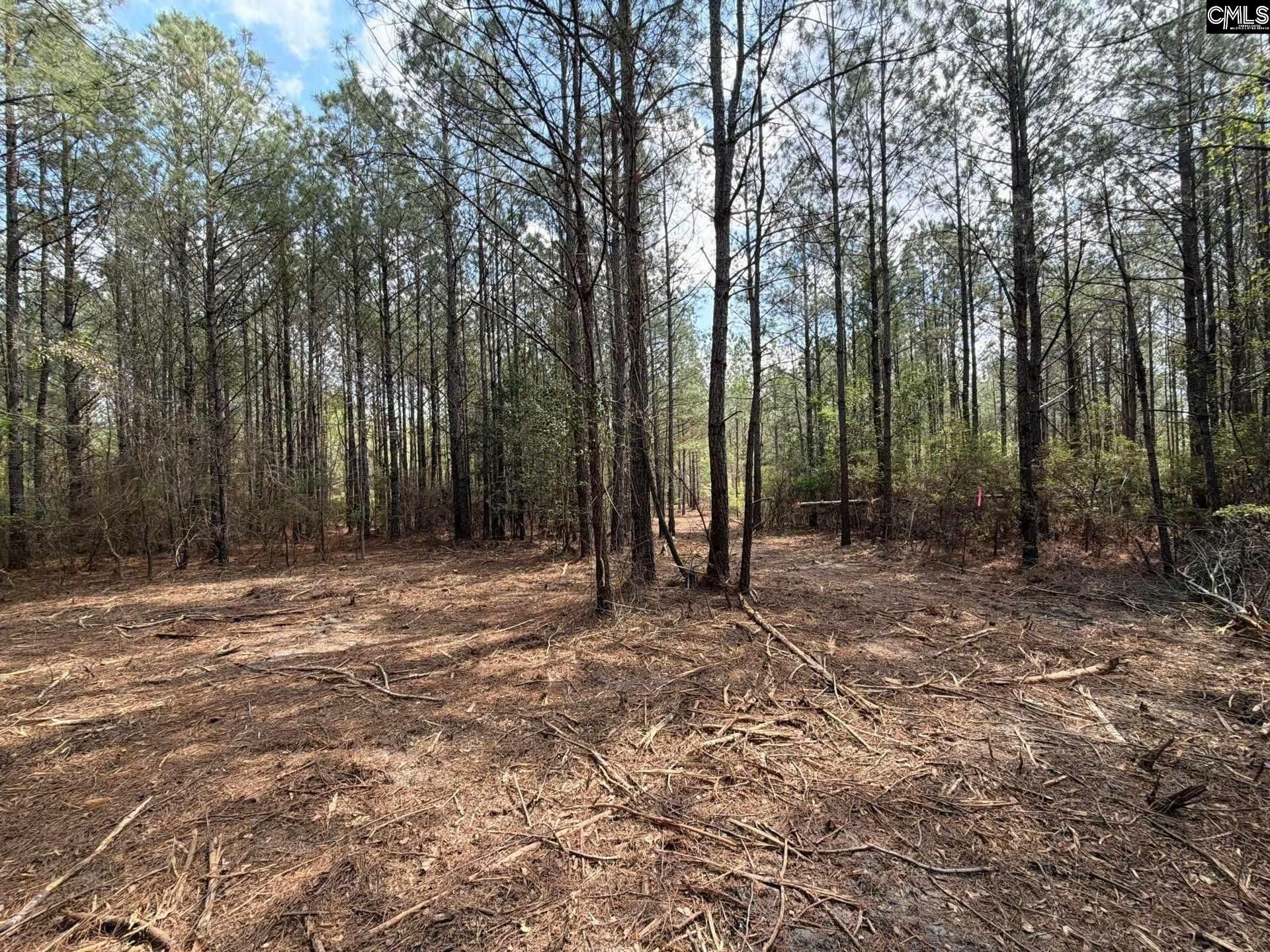 Cva 1 Mt. Calvary Road  Photo 6