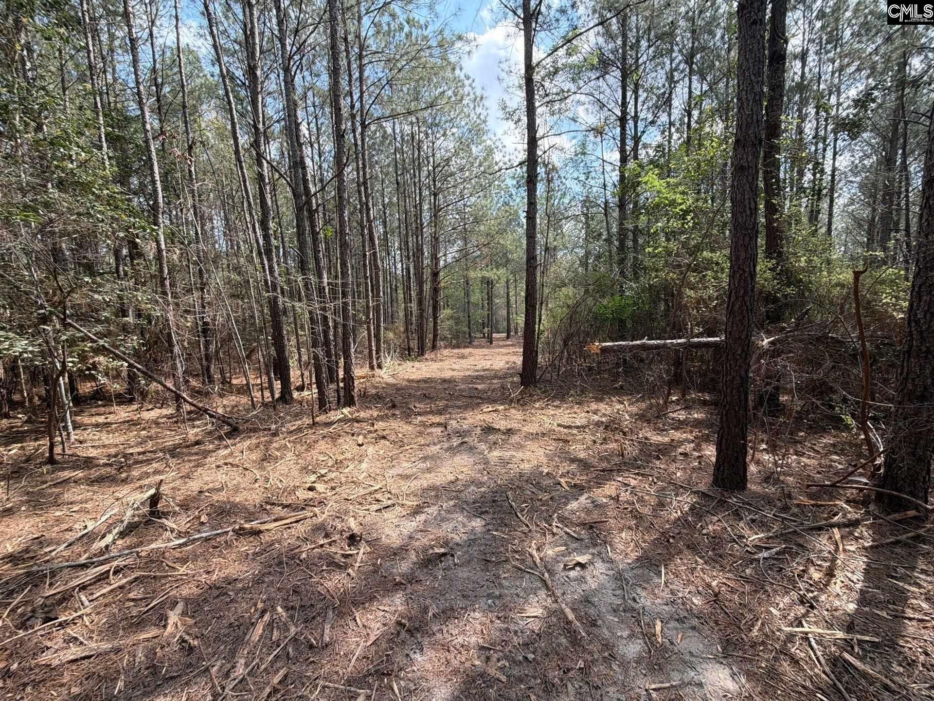 Cva 1 Mt. Calvary Road  Photo 7