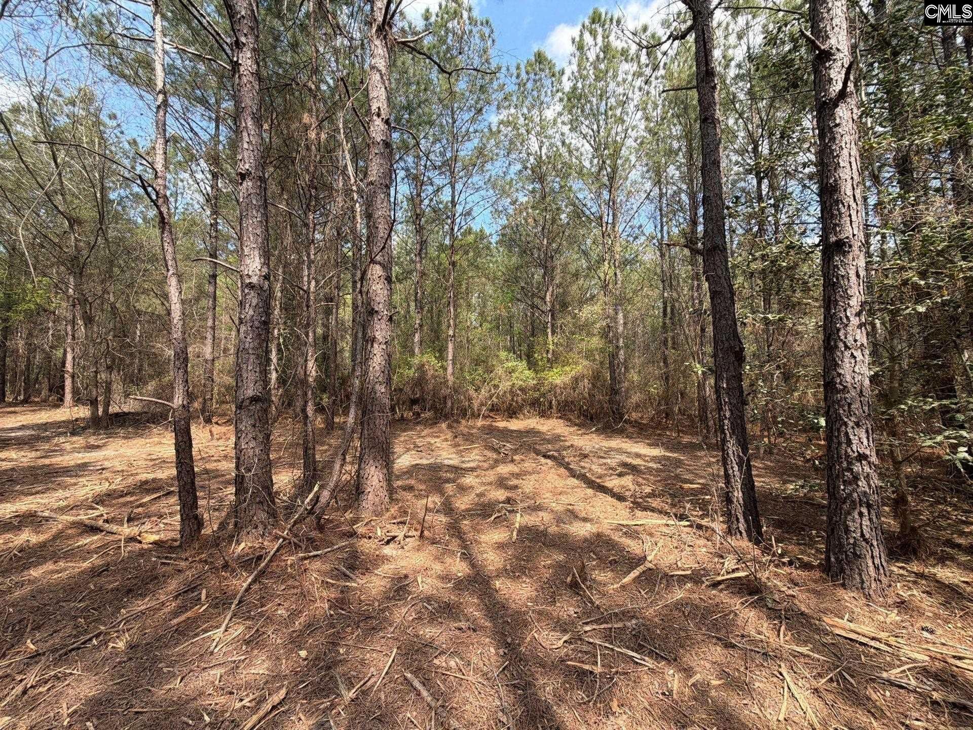 Cva 1 Mt. Calvary Road  Photo 8