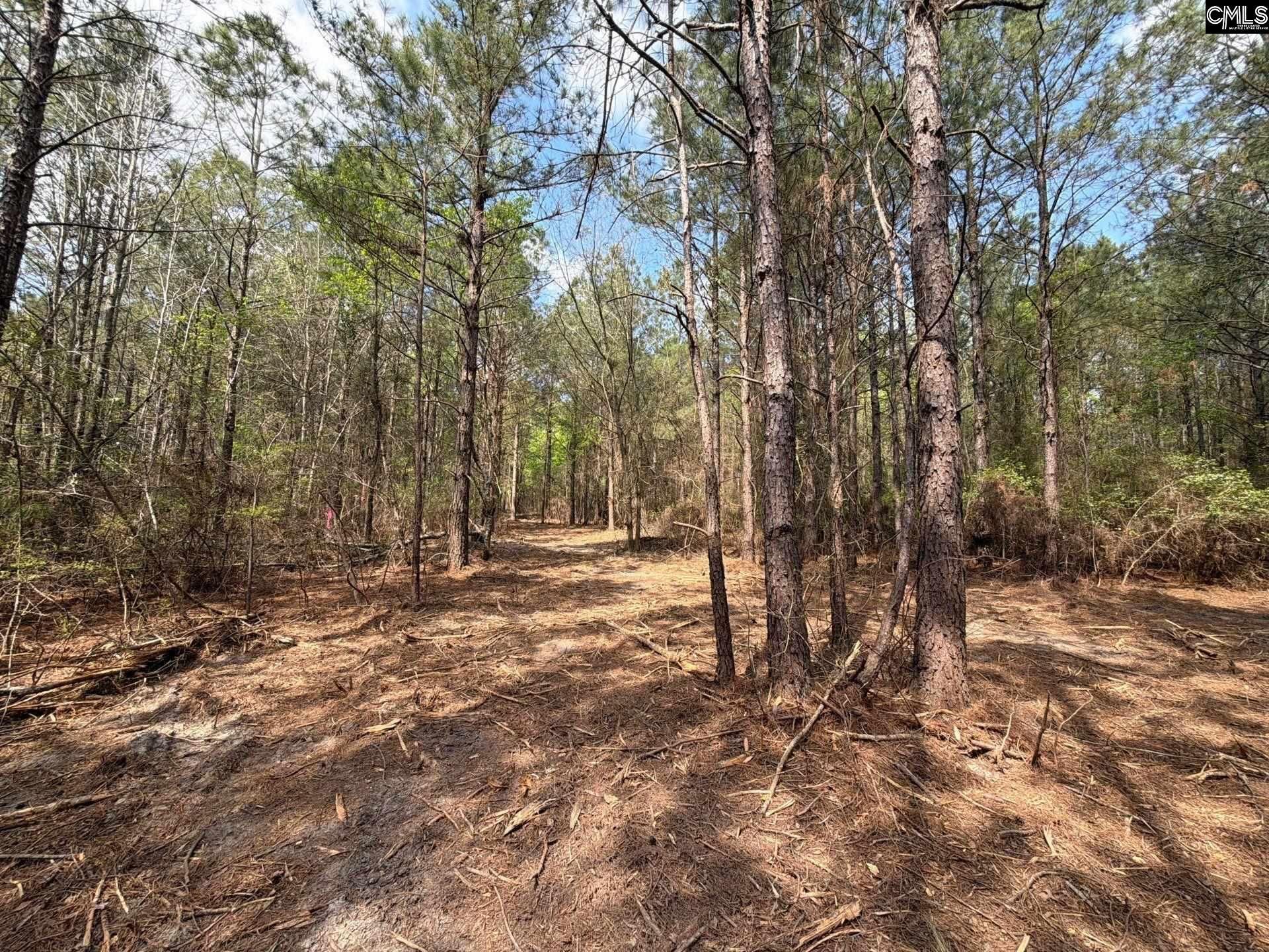 Cva 1 Mt. Calvary Road  Photo 9