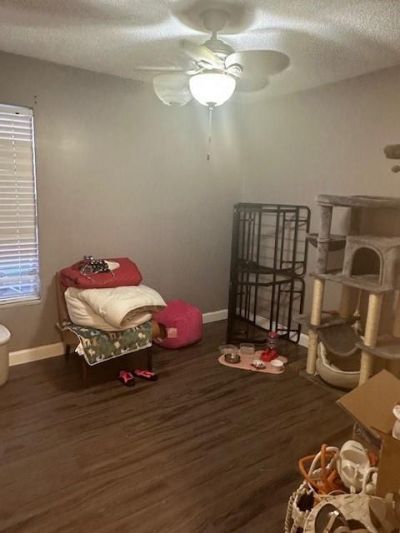 8390 Lagos De Campo Boulevard, Tamarac, FL 33321 Photo