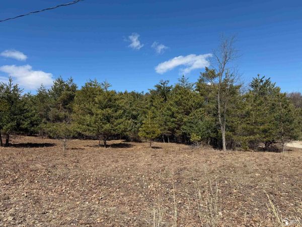 VL Lot 184 Chippewa Trail Trail, Evart, MI 49631