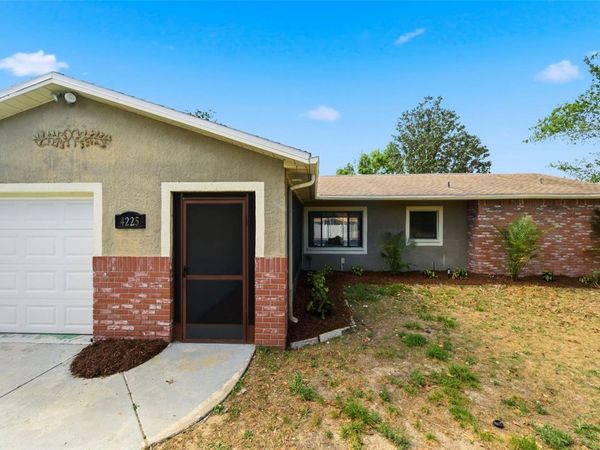 4225 DRISTOL AVENUE , SPRING HILL, FL 34609