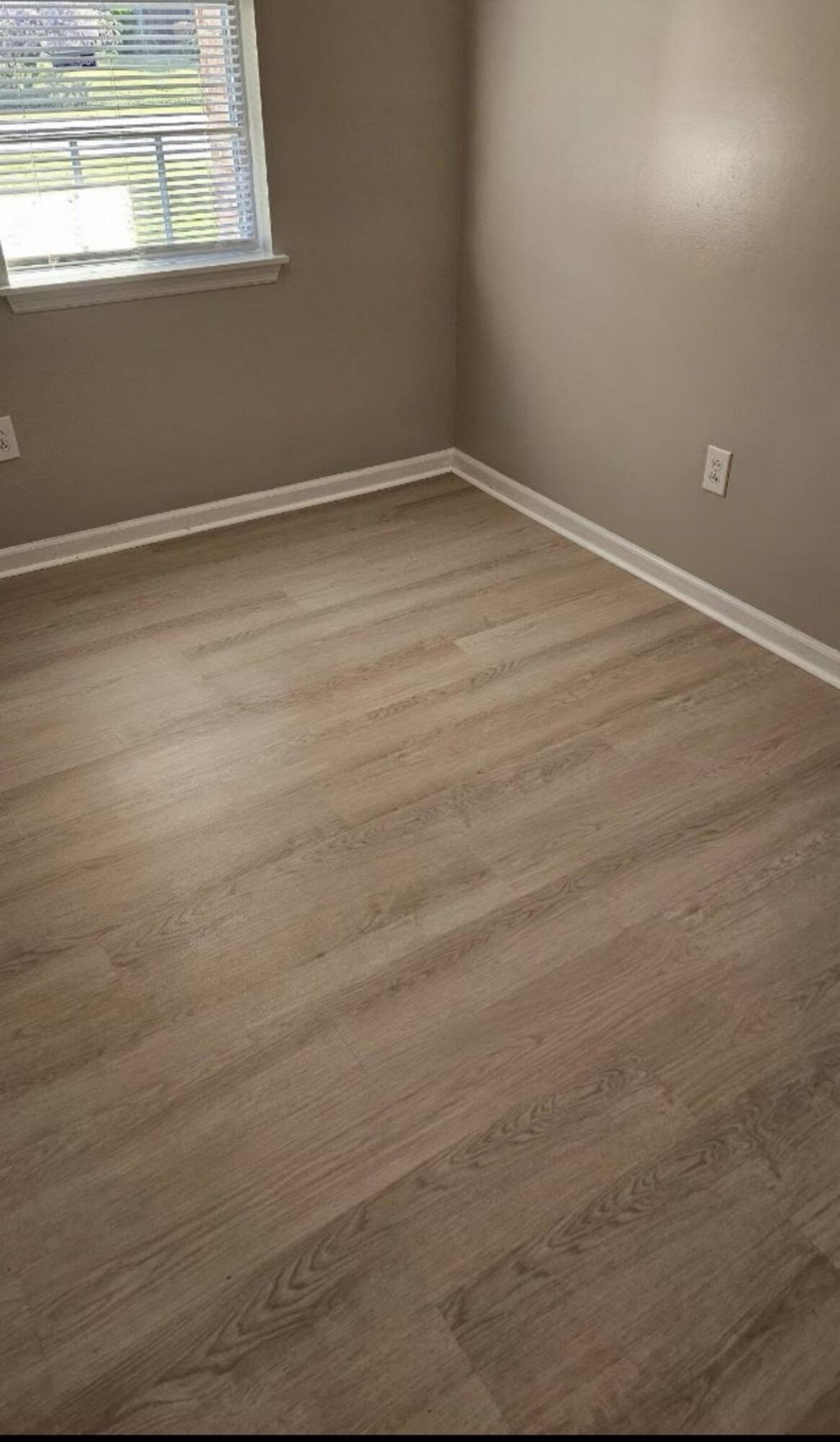 4488 Jenwood Street Photo 5