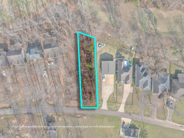 TBD LOT 36 PING HILL CV, Counce, TN 38326