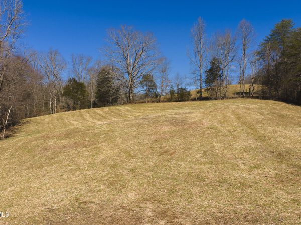 50 Acres Sutton Hollow Road, Sneedville, TN 37869