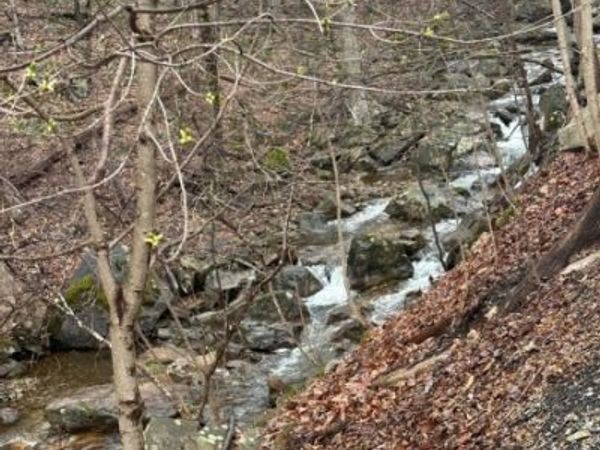 120 Millbrook Road, Franklin, NJ 07882