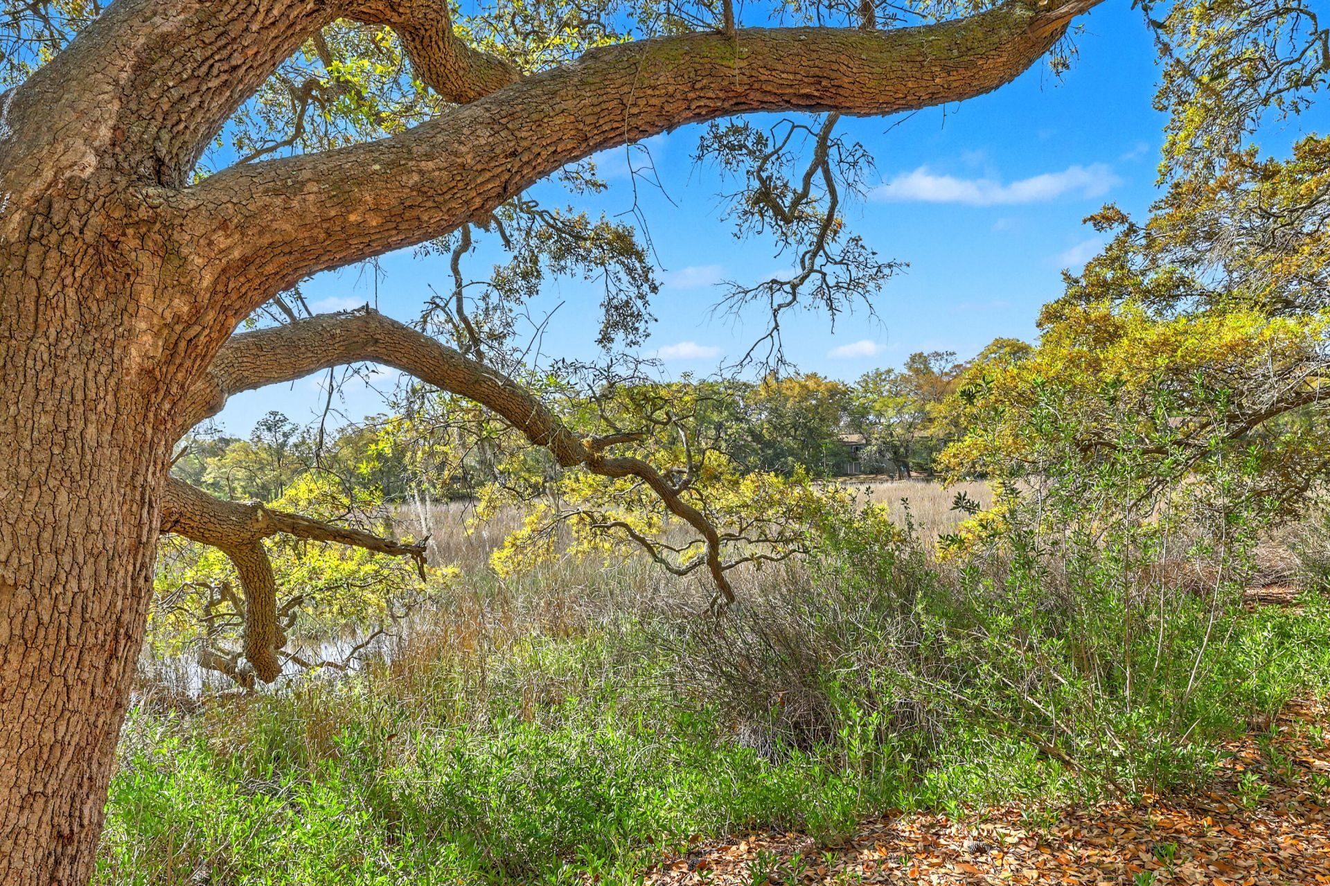 23 Brockman Drive Photo 34