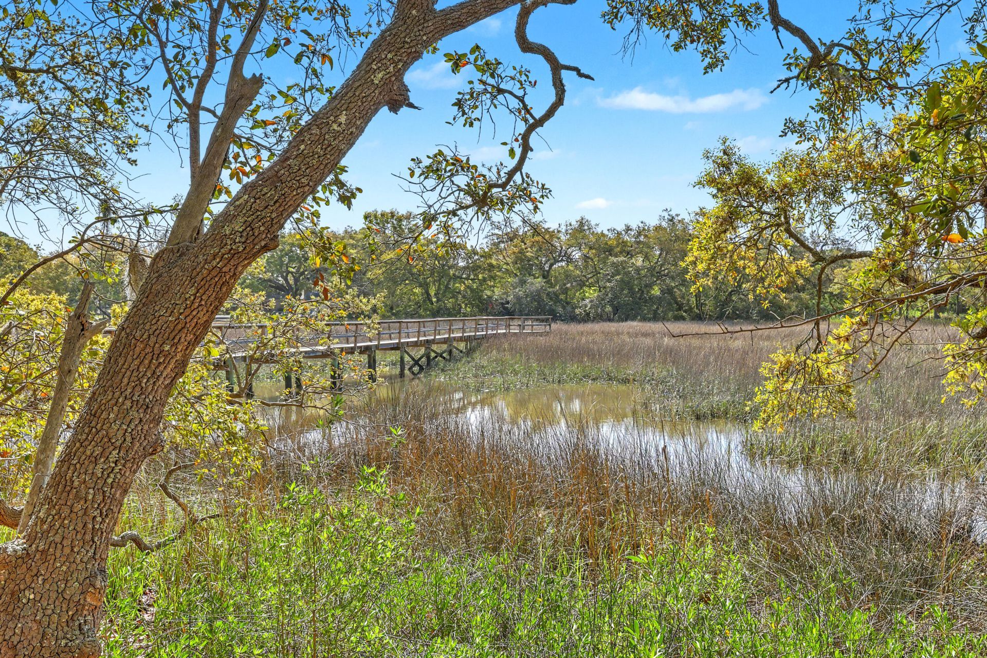 23 Brockman Drive Photo 35