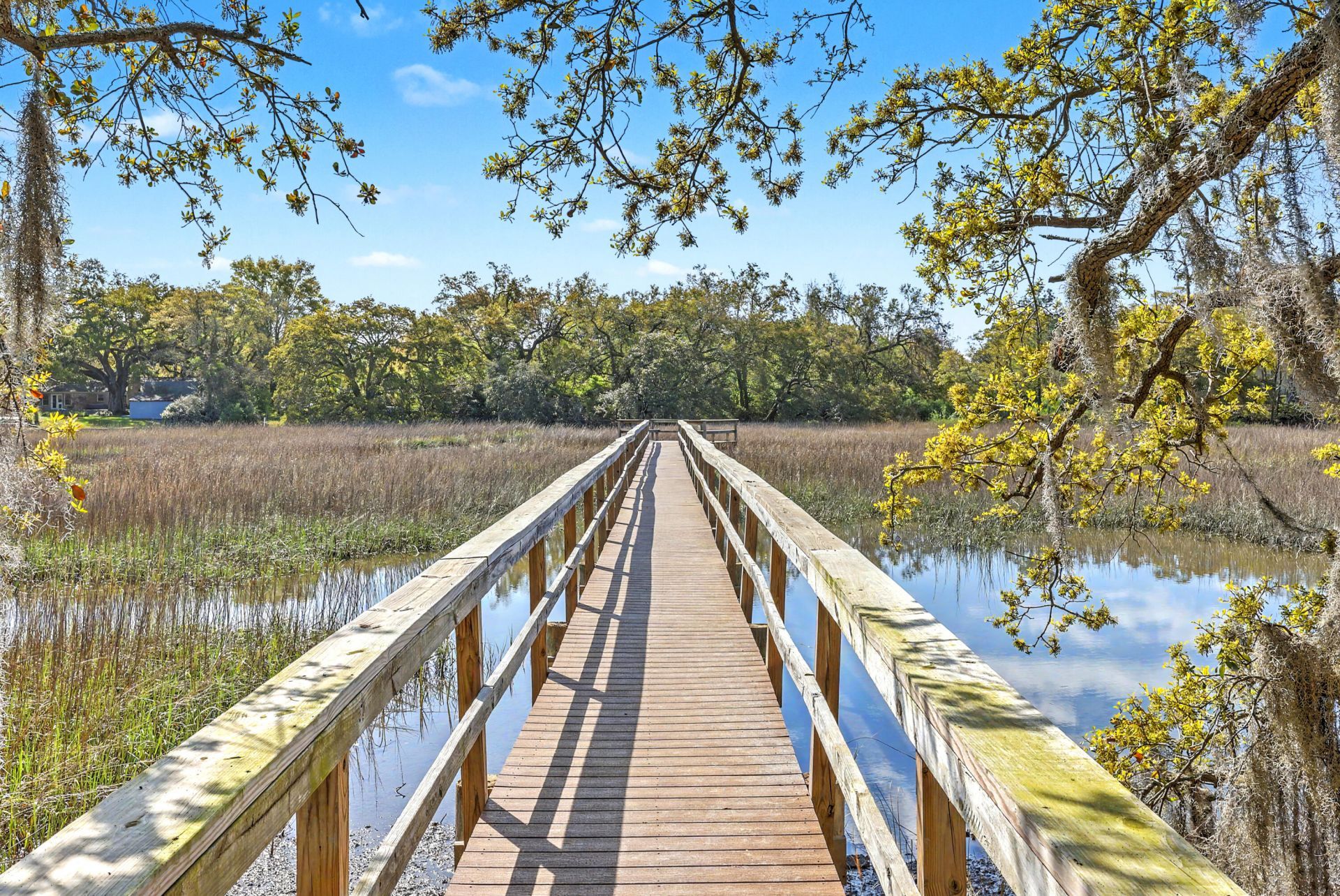 23 Brockman Drive Photo 36